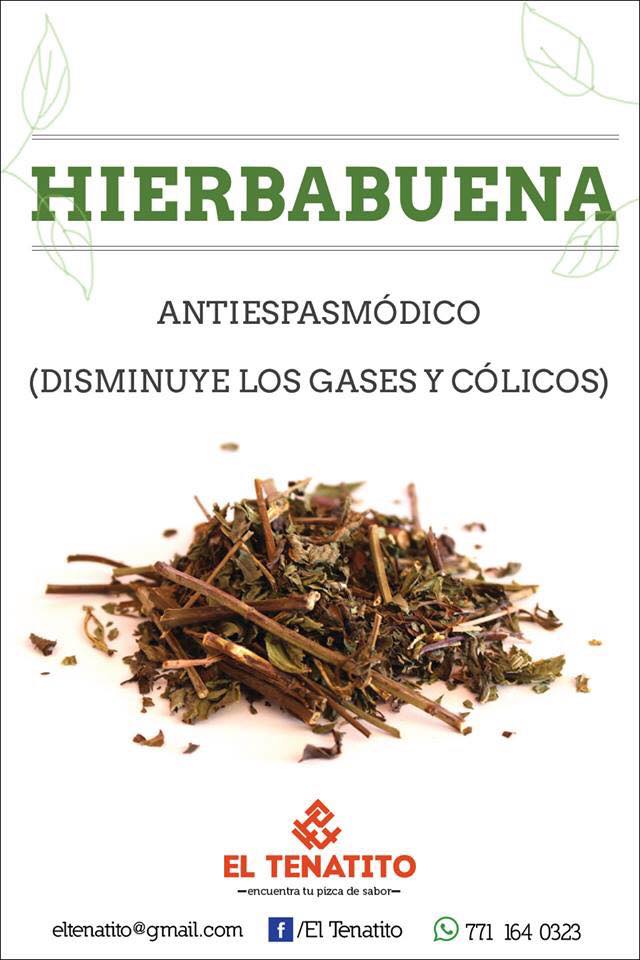 Hierbabuena: El aliado natural para aliviar espasmos, gases y colicos