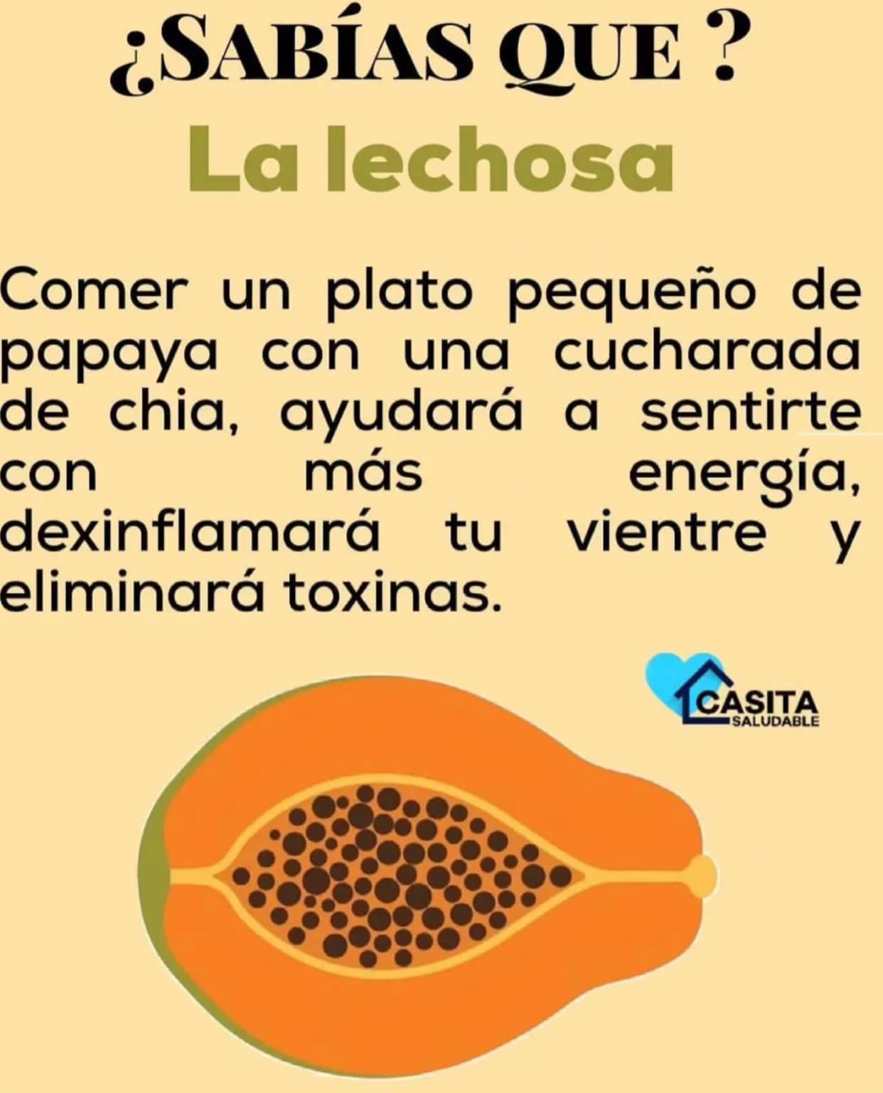 Receta Natural de Papaya y Chia para Energia y Detoxificacion