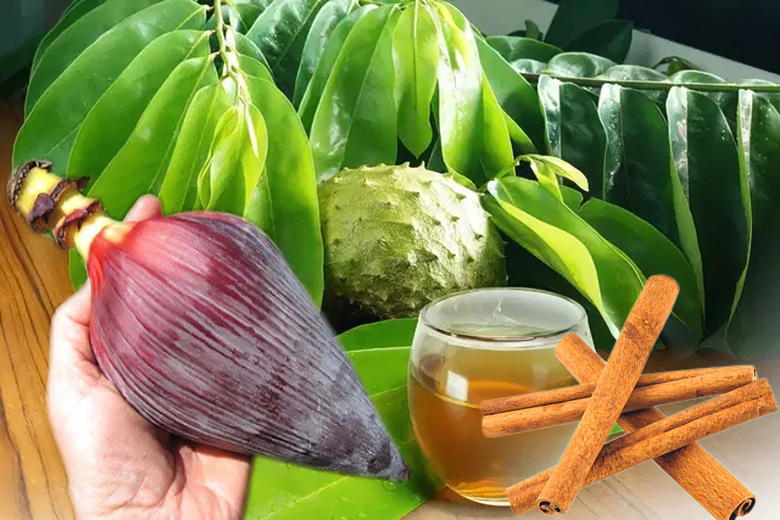Cómo Usar Flor de Plátano y Hojas de Guanábana para la Salud